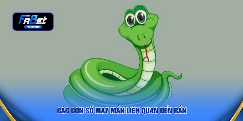 Các con số may mắn liên quan đến rắn