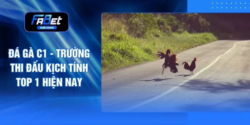 Đá Gà C1 - Trường Thi Đấu Kịch Tính Top 1 Hiện Nay