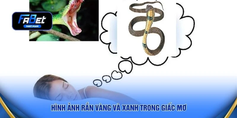 Hình ảnh rắn vàng và xanh trong giấc mơ