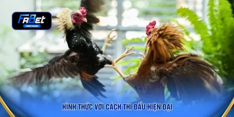 Hình thức với cách thi đấu hiện đại