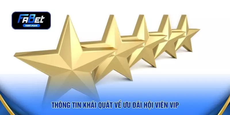 Thông tin khái quát về ưu đãi hội viên VIP