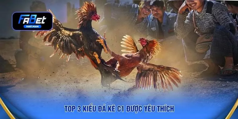 Top 3 kiểu đá kê C1 được yêu thích